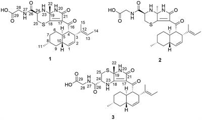 Aplospojaveedins A–C, unusual sulfur-containing alkaloids produced by the endophytic fungus Aplosporella javeedii using OSMAC strategy